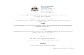 FACULTAD REGIONAL MUTIDISCIPLINARIA, MATAGALPA FAREM- MATAGALPA SEMINARIO DE …repositorio.unan.edu.ni/9956/1/6825.pdf · 2019-02-20 · el desarrollo de Nueva Segovia (FUNDENUSE