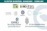 CLÚSTER BIODIÉSEL AVANZADO CEMIE-BIOrtbioenergia.org.mx/wp-content/uploads/2017/12/5... · biocombustibles avanzados. Fomentar la producción y el uso de biocombustibles avanzados