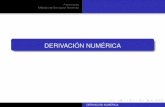 DERIVACIÓN NUMÉRICAlctorress/MetNum/MeNuCl05.pdf · 2019-07-07 · Derivada del Polinomio Interpolador de Newton Fórmulas de Diferencias Centradas Son fórmulas de aproximación