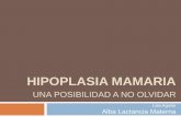 HIPOPLASIA MAMARIA una posibilidad a no olvidaralbalactanciamaterna.org/wp-content/.../HIPOPLASIA... · (valoraciÓn fotos de las mamas antes de la iq) hiperestimulaciÓn 70% lm 30%