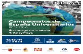 CEU 2016 – Universidad Católica de Murcianormas NIDE establecidas por el Consejo Superior de Deportes: Normas NIDE de voley playa Redes: Color azul oscuro o amarillo. Cintas delimitadoras