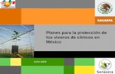 Planes para la protección de los viveros de cítricos en México · NOM-079-FITO-2002. Requisitos fitosanitarios para la producción y movilización de material propagativo libre