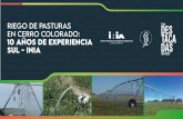 Cómo incluir riego en sistemas ganaderos - Secretariado Uruguayo de … · Modulo de Riego vs.Sistemas reales • Falta de información en producción de carne bajo riego • Objetivo