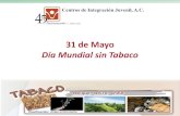31 de Mayo Día Mundial sin Tabaco - Gob › ... › DiaMundialSinTabaco2014.pdf · Día Mundial sin Tabaco ¿Qué es el tabaco? • Planta cuyas hojas contienen una de las drogas