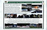ILUSTRE MUNICIPALIDAD | OFICINA DE MEDID AMBIENTE …municipalidadchepica.cl/archivos/inf.m.ambiente para web.pdf · 2012-04-18 · y motivarlos a cuidar el medio ambiente a través