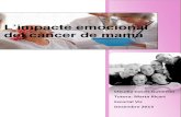 L’impacte emocional del càncer de mamapremisrecerca.uvic.cat/sites/default/files/webform... · 2014-12-03 · 6 conclusions d’aquest treball, que és precisament la dificultat
