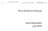 De la Granja al Anaquel · 2018-07-29 · De la Granja al Anaquel José R Machado Julio 2018. Evolución de los Canales de Distribución Oferta Multicanal Segmentación cobra relevancia
