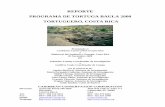 CCC PROGRAMA DE TORTUGA BAULA 2000 · 2020-01-11 · 6 1. INTRODUCCIÓN La Caribbean Conservation Corporation (CCC) ha organizado un programa anual de tortuga baula ( Dermochelys
