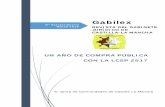 Gabilex - Castilla-La Mancha · Gabilex Nº 10 Junio 2017  Nº Extraordinario . Marzo 2019 . UN AÑO DE COMPRA PÚBLICA . CON LA LCSP 2017 . Gabilex REVISTA DEL GABINETE
