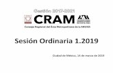 Sesión Ordinaria 1cram.uam.mx/contenido/so/2019-01/so2019-01-CRAM_sesion_1_201… · Sesión Ordinaria 1.2019 . Ciudad de México, 14 de marzo de 2019. 25 Instituciones de Educaci.