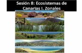 Sesión 8: Ecosistemas de Canarias I. Zonales · 2020-02-19 · Los ecosistemas suelen formar una serie de cadenas que muestran la interdependencia de los organismos dentro del sistema.