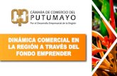 DINÁMICA COMERCIAL EN LA REGIÓN A TRAVÉS DEL FONDO EMPRENDERccputumayo.org.co/.../12/Estudio-Fondo-Emprender-2019.pdf · 2019-12-31 · Conocer el impacto y la sostenibilidad de