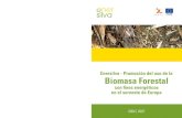 Biomasa Forestal - navegantesenersilva.navegantes.info/areasubir/resultados/Enersilva espanol.pdfforestal con fines energéticos en el suroeste de Europa. El proyecto reúne a organizaciones