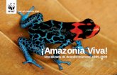 Amazon Alive juan-edited4 FINAL doble pagd2ouvy59p0dg6k.cloudfront.net/downloads/amazonia... · de los mercados agroindustriales no sostenibles es-tán impactando la Amazonia a una