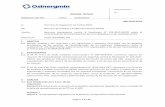Otros Destinatarios C/c: INFORME TÉCNICO 008-2018-GPAE › uploads › document › file › 895571 › ... · 2020-06-28 · Página 1 de 14 INFORME TÉCNICO Magdalena del Mar Fecha
