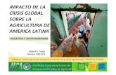 IMPACTO DE LA CRISIS GLOBAL SOBRE LA AGRICULTURA DE …biblioteca.inia.cl/medios/institucion/relacionesinternac... · 2015-03-10 · Seminario “Impacto de la crisis económica y