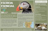 950 € por persona ESENCIAL - SEO Birdlife€¦ · SEO/BirdLife es una entidad sin ánimo de lucro nacida en 1954 que trabaja para la conservación de las aves y sus hábitats, declarada