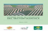 INFORME ANUAL DE COYUNTURA DEL SECTOR OLEÍCOLA · 2020-05-06 · Uno de los compromisos de la Cátedra es publicar todos los años el Informe Anual de Coyuntura del Sector Oleícola
