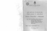 Archivos públicos, privados y mixtos: archivos ...de Archivos, que no sólo reúnen condiciones parciales de los Archivos Públicos y de los Archivos Privados; sino a su vez, precisamente