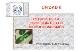 ESTUDIO DE LA FISIOLOGÍA DE LOS MICROORGANISMOSwebdelprofesor.ula.ve/nucleotrujillo/elciv/clases_micro... · 2006-05-23 · 23/05/2006 3 CLASIFICACIÓN DE LAS BACTERIAS ¾Aerobios