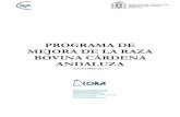 Programa de Mejora de la Raza Bovina Cardena Andaluza ...cardenaandaluza.com › wp-content › uploads › 2014 › 11 › ... · Junto con trabajos descriptivos conjuntos sobre
