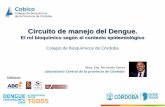 Circuito de manejo del Dengue. › ... › dengue_2020.pdf · 2020-03-13 · Circuito de manejo del Dengue. El rol bioquímico según el contexto epidemiológico Colegio de Bioquímicos