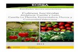 Cultivos hortícolas › es › ministerio › servicios... · vos hortícolas en 6 CCAA (Andalucía, Castilla y León, Castilla-La Mancha, Extremadura, Murcia y Comuni-dad Valenciana).
