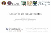 Lesiones de Isquiotibiales - Repositorio UANLeprints.uanl.mx/17182/1/Isquiotibiales.pdfLesiones de Isquiotibiales Dra. Dulce Morales Especialista en Medicina de Rehabilitación MSc.