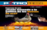 Reservas de gas: ¿Están matando a la gallina de los huevos ... · gallina de los huevos de oro? este artÍculo sostiene que la drÁstica reducciÓn de las reservas probadas de gas