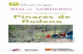 Paisaje Protegido de los Pinares de Rodeno · 2018-07-24 · cuatro abrigos con pinturas rupestres en un grupo de roquedos, antes de la pista asfaltada que nos devuelve, en pocos