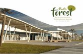 Feria internacional de la industria forestal · Industria forestal En Uruguay se ha plantado más de 1 millón de hectáreas de bosques de eucalipto y pino con ﬁnes industriales
