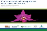 Conservación de orquídeas, una tarea de todos · 2019-04-18 · Laelia speciosa, aunque pareciera ser abundante en algunas localidades; sin embargo un increíble volumen de plantas