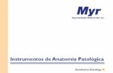 Instrumentos de Anatomía Patológica · Especialidades Médicas Myr, S.L. es una empresa española especializada en el desarrollo y la fabricación de instrumentos de anatomía patológica