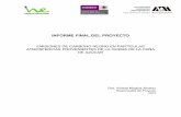 INFORME FINAL DEL PROYECTO - gob.mx · 2019-04-18 · INFORME FINAL DEL PROYECTO EMISIONES DE CARBONO NEGRO EN PARTÍCULAS ATMOSFÉRICAS PROVENIENTES DE LA QUEMA DE LA CAÑA DE AZÚCAR