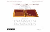 Tabella IX - domusbaebia.comdomusbaebia.com/PDF/TABELLA_IX_CAST.pdf · responsable religioso quien además de las ofrendas diarias, actúa como sacerdote en otros ritos más complejos,
