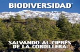 BIODIVERSIDAD - Bosques Nativos Argentinos...Es una de las especies endémicas, emblemáticas de los bosques patagónicos argentinos, tiene gran importancia ecológica ya que es la