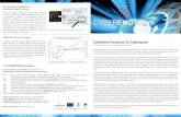 Collective Emotions in Cyberspace · 2013-06-25 · This leaflet presents selected project results from its fourth and final year. More detailed information about the project's ...