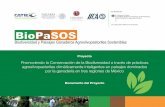 Biodiversidad y Paisajes Ganaderos Agrosilvopastoriles Sostenibles › informes › Junio20 › Doc8.pdf · 2020-06-19 · Biodiversidad y Paisajes Ganaderos Agrosilvopastoriles Sostenibles
