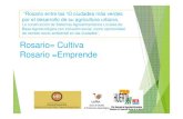 La construcción de Sistemas Agroalimentarios Locales de ...€¦ · proceso de transición agroecológica ( 800 Has ) desde Gabinete sustentable Municipal articulando con Provincia,