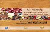 PROPUESTAS DE REGLAMENTOS SOBREiiap.org.pe/Upload/Publicacion/zonas_agrodiversidad.pdf · 2007-04-11 · mercado), la seguridad alimentaria, la agricultura de pequeña escala, la