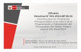 Difusión Directiva N° 001-2013-EF/50 · Directiva N° 001-2013-EF/50.01 Directiva para los Programas Presupuestales en el marco de la Programación y Formulación del Presupuesto