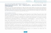 5 Semana Epidemiológica - Argentina · 1/17/2019  · HANTAVIRUS Detección de anticuerpos para hantavirus por ELISA Detección de genoma viral por RT-qPCR tgG Muestta Hantavirus