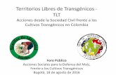 Territorios Libres de Transgénicos - TLT · 2020-04-22 · Territorios Libres de Transgénicos - TLT Acciones desde la Sociedad Civil frente a los Cultivos Transgénicos en Colombia