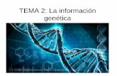 TEMA 2: La informació genètica · 2020-03-23 · 2.1.-Los ácidos nucleicos • Tipo de ácidos nucleicos: • ADN: O ácido desoxirribonucleico.Su función es contener la información