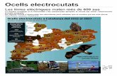 264ant. Ocells electrocutats.)antlaformiga.org/publicacions/pdfs/documents/d196... · 2018-09-07 · Ocells electrocutats Les línies elèctriques maten més de 600 aus La fiscalia