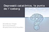 Depressió catatònica, la punta de l’iceberg · Depressió catatònica, la punta de l’iceberg Oriol Rovira i Vergés Servei de Farmàcia. Hospital General de Granollers