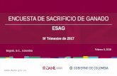 Presentación Encuesta de Sacrificio de Ganado -ESAG- IV ...Los departamentos de Arauca, Guainía, La Guajira, Sucre, Vichada, Vaupés y San Andrés, Providencia y Santa Catalina no