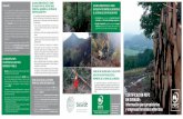 CERTIFICACIÓN PEFC - Euskadi Euskadi... · 2017-11-15 · FORESTAL ADHERIDO AL SISTEMA DE CERTIFICACIÓN PEFC Te recordamos que hay que seguir las directrices de gestión forestal