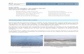 Meteorologia i estat de la mar Presència de meduses …canetdemar.cat/ARXIUS/documpdf/PDFvaris10/estatplages/... · 2010-08-27 · han afectat els accessos a les platges, on s’han