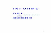 I N F O R M E D E L O Z O N O8) aplicaciones del ozono en el agua. 9) aplicaciones del ozono en la medicina. 10) aplicaciones del ozono en la descontaminacion atmosferica. 11) aplicaciones